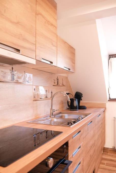 L'Escapade Citadine Apartman Bischheim Kültér fotó